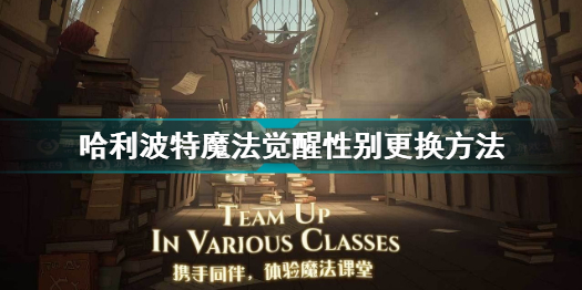 哈利波特魔法觉醒男女性别能更换吗?