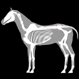 马匹解剖模拟器3d(3D Horse Anatomy Software) v1.2