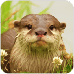 水獭模拟经营游戏(the otter) v1.0.6