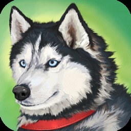 狗生活模拟游戏(Dog Simulator Animal Life) v1.0.0.5