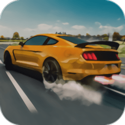 公路赛车手赛车(Highway Racer) v3.2